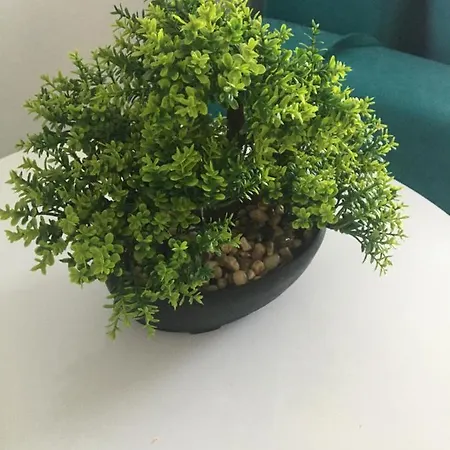 公寓 Velvet 64 Pe Plaja